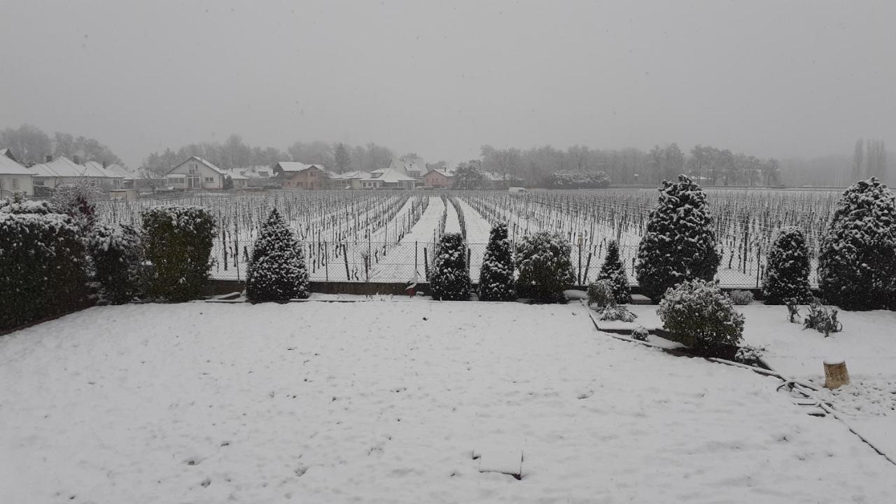 Aux Pieds Des Vignes Ingersheim Exterior foto